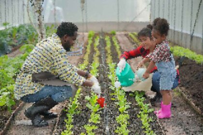 Sustainable Fashion Trends That Are Changing the Industry