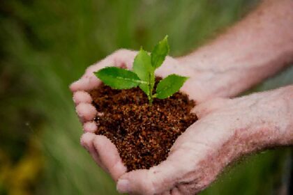 Eco-Friendly Technologies Driving Change in Manufacturing