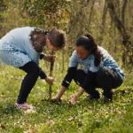 Community Initiatives That Are Building a Green Economy