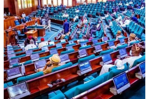 Electoral Act: Reps move to make voting compulsory for all Nigerians Electoral Act: Reps move to make voting compulsory for all Nigerians