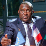 How Tinubu’s policy eased importation of rice, maize, wheat into Nigeria— BUA CEO