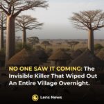 NO ONE SAW IT COMING: The Invisible Killer That Wiped Out An Entire Village Overnight.