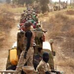 Tinubu approves creation of forest guards to curb insecurity