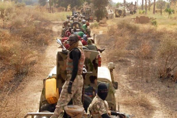 Tinubu approves creation of forest guards to curb insecurity Tinubu approves creation of forest guards to curb insecurity